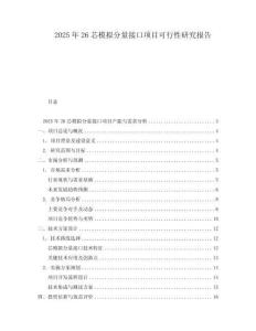 2025年26芯模擬分量接口項(xiàng)目可行性研究報(bào)告