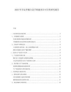 2025年幸運(yùn)草鍍白金手機(jī)鏈項(xiàng)目可行性研究報(bào)告