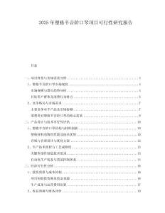 2025年塑格半音階口琴項目可行性研究報告