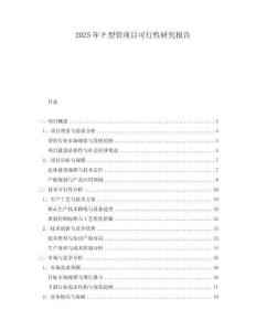 2025年P(guān)型管項目可行性研究報告