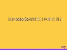2021道路勘測設計縱斷面設計推薦資料