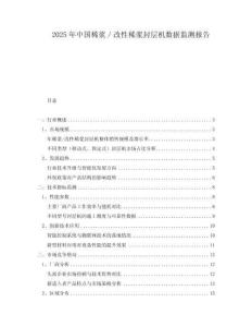 2025年中国稀浆／改性稀浆封层机数据监测报告