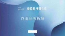 2025年美妝行業(yè)：谷雨品牌拆解