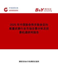 2025年中國(guó)致命和非致命定向能量武器行業(yè)市場(chǎng)全景分析及前景機(jī)遇研判報(bào)告