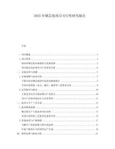 2025年銅芯線項(xiàng)目可行性研究報(bào)告