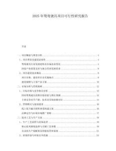 2025年鴛鴦燙具項目可行性研究報告