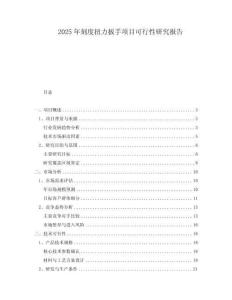 2025年刻度扭力扳手項(xiàng)目可行性研究報(bào)告