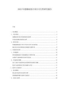 2025年遙測(cè)雨量計(jì)項(xiàng)目可行性研究報(bào)告