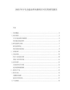 2025年小馬力起動(dòng)單向器項(xiàng)目可行性研究報(bào)告