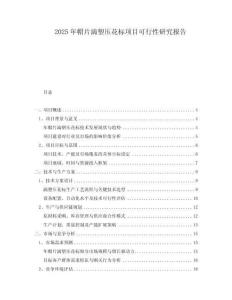 2025年帽片滴塑壓花標(biāo)項(xiàng)目可行性研究報(bào)告