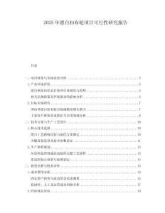 2025年漂白扣布輪項(xiàng)目可行性研究報(bào)告
