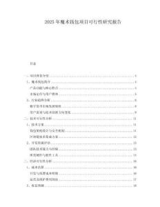 2025年魔術(shù)錢包項目可行性研究報告