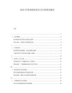 2025年香木鞋楦項(xiàng)目可行性研究報(bào)告