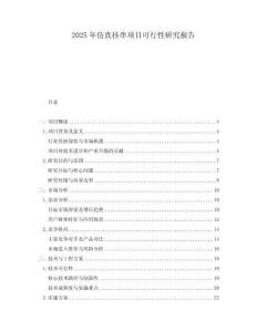 2025年仿真掛串項(xiàng)目可行性研究報(bào)告