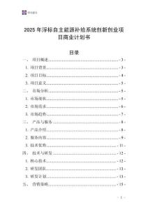 2025年浮標(biāo)自主能源補(bǔ)給系統(tǒng)創(chuàng)新創(chuàng)業(yè)項目商業(yè)計劃書
