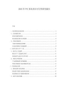 2025年P(guān)VC基布項目可行性研究報告