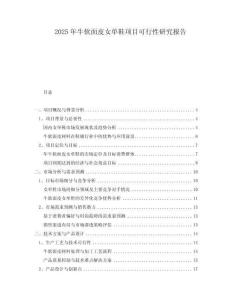 2025年牛軟面皮女單鞋項(xiàng)目可行性研究報(bào)告