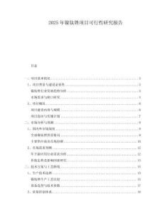 2025年鎳鈦銼項目可行性研究報告