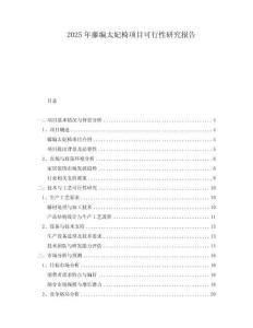 2025年藤編太妃椅項(xiàng)目可行性研究報(bào)告