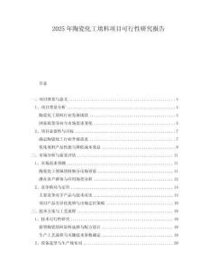 2025年陶瓷化工填料項目可行性研究報告