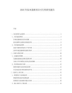 2025年原木蕩橋項(xiàng)目可行性研究報(bào)告