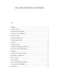 2025年鍍金電極絲項目可行性研究報告