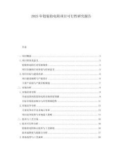 2025年鎧裝鉑電阻項目可行性研究報告