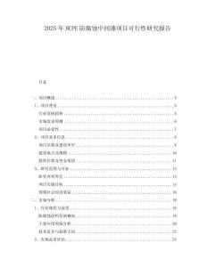 2025年HCPE防腐蝕中間漆項目可行性研究報告