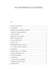 2025年防风抓绒衣项目可行性研究报告