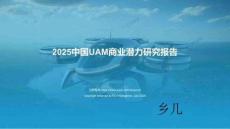 2025中國UAM商業(yè)潛力研究報告