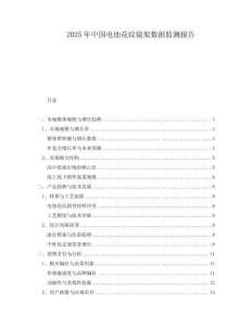 2025年中國電蝕花紋鏡架數據監測報告