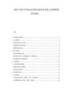 2025-2030中國(guó)電動(dòng)牙刷市場(chǎng)競(jìng)爭(zhēng)態(tài)勢(shì)與品牌策略研究報(bào)告