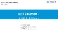 互聯(lián)網(wǎng)-2025年出圈品類詳解：微恐搜打撤、融合玩法SLG