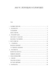 2025年工程異形毯項(xiàng)目可行性研究報(bào)告