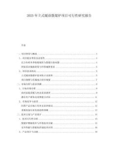 2025年立式暖浴散煤爐項(xiàng)目可行性研究報(bào)告