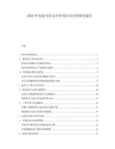 2025年雙盤馬步太空革項目可行性研究報告