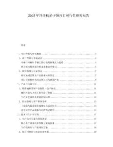 2025年纖維柄奶子錘項目可行性研究報告