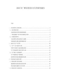 2025年廠牌吊帶項目可行性研究報告