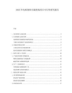 2025年電機繞組引接軟線項目可行性研究報告