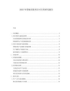 2025年帶軸頁輪項目可行性研究報告