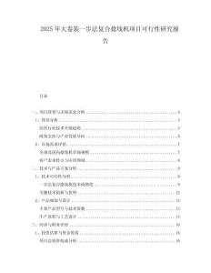 2025年大卷裝一步法復(fù)合捻線機項目可行性研究報告
