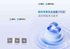 2025年騰訊專有云企業(yè)版（TCE）高可用技術(shù)白皮書