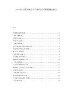 2025年水冷式磁粉離合器項目可行性研究報告