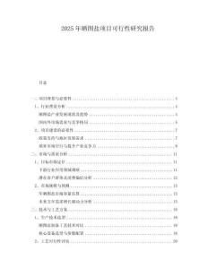 2025年曬圖鹽項目可行性研究報告