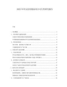 2025年單頭仿形銑床項(xiàng)目可行性研究報(bào)告