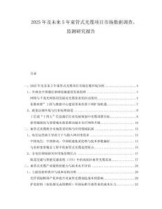 2025年及未来5年束管式光缆项目市场数据调查、监测研究报告