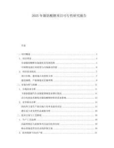 2025年鎳鈷酸鋰項目可行性研究報告