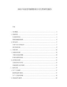 2025年瀝青瑪蹄脂項(xiàng)目可行性研究報(bào)告