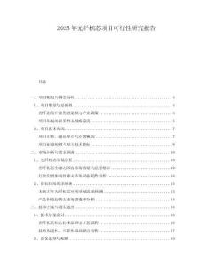 2025年光纖機(jī)芯項(xiàng)目可行性研究報(bào)告