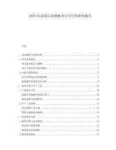 2025年邊梁后加強(qiáng)板項目可行性研究報告